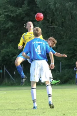 +++++Dänemark 2011+++++