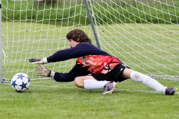 +++++Dänemark 2011+++++