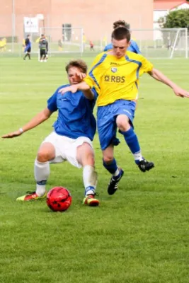 +++++Dänemark 2011+++++