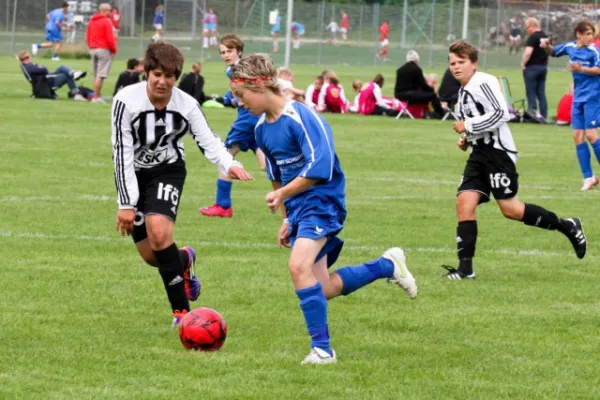 +++++Dänemark 2011+++++