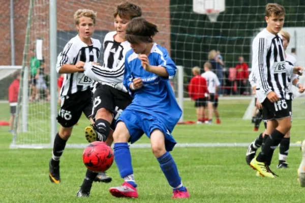 +++++Dänemark 2011+++++