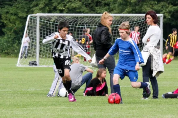 +++++Dänemark 2011+++++