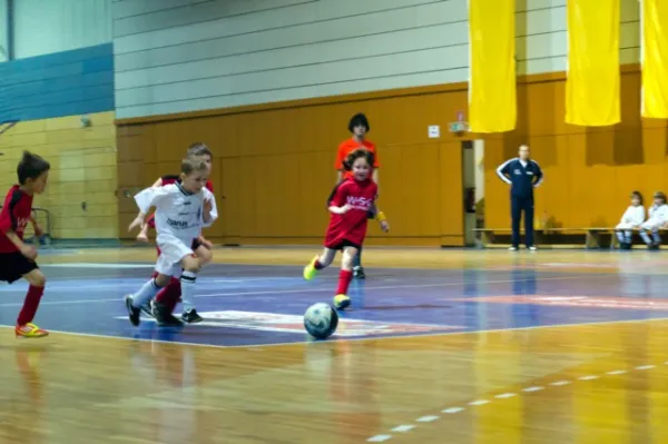 +++ 1M Saison der BAMBINI +++