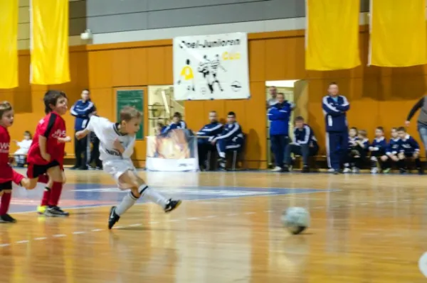 +++ 1M Saison der BAMBINI +++