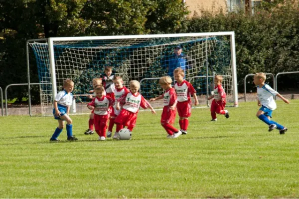 +++ 1M Saison der BAMBINI +++