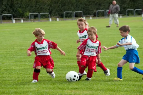 +++ 1M Saison der BAMBINI +++