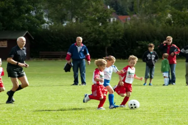 +++ 1M Saison der BAMBINI +++