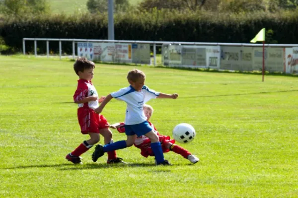 +++ 1M Saison der BAMBINI +++