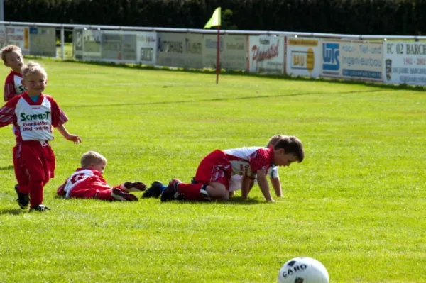 +++ 1M Saison der BAMBINI +++