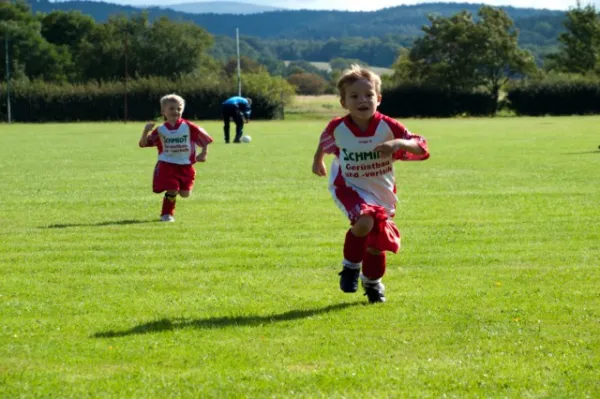 +++ 1M Saison der BAMBINI +++