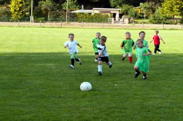 +++ 1M Saison der BAMBINI +++