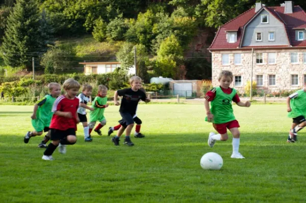 +++ 1M Saison der BAMBINI +++