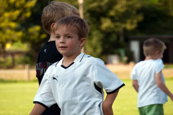 +++ 1M Saison der BAMBINI +++