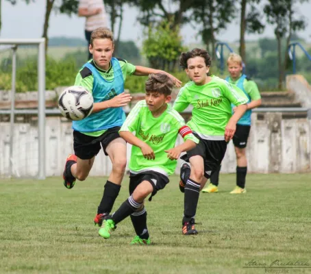 D-Junioren Saison 2016/17