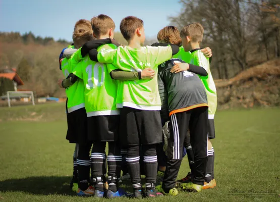 D-Junioren Saison 2016/17