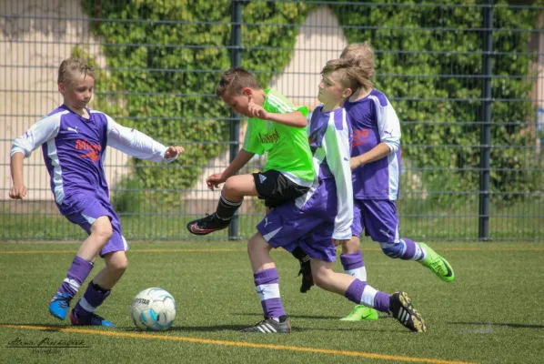 D-Junioren Saison 2016/17