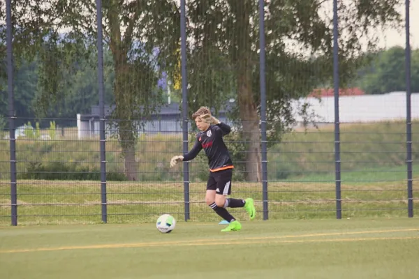 D-Junioren Verbandsliga Saison 2017/18