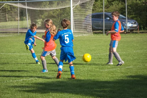 E2-Junioren Saison 2017 / 18