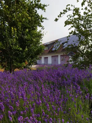 Fairplay Fußballcamp Tretschok/Sparkasse
