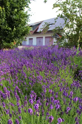 Fairplay Fußballcamp Tretschok/Sparkasse
