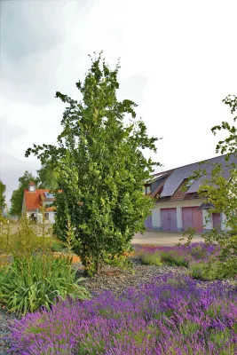 Fairplay Fußballcamp Tretschok/Sparkasse