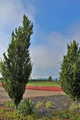 Fairplay Fußballcamp Tretschok/Sparkasse