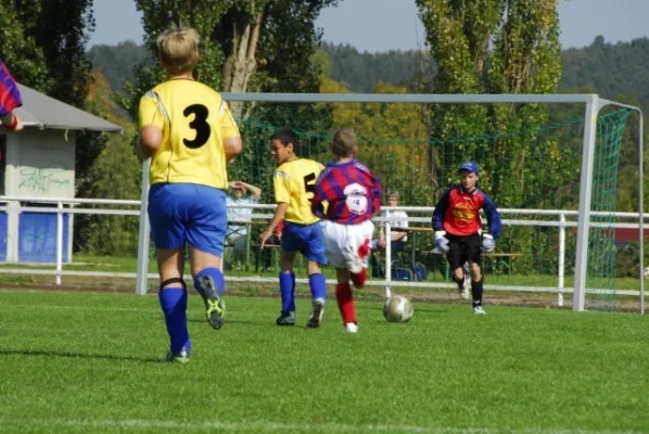 Kreispokalfinale D-Junioren 07/08