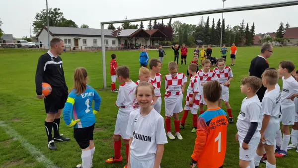 27.05.2019 Langenfelder SV 1919 vs. Wacker Bad Salzungen II