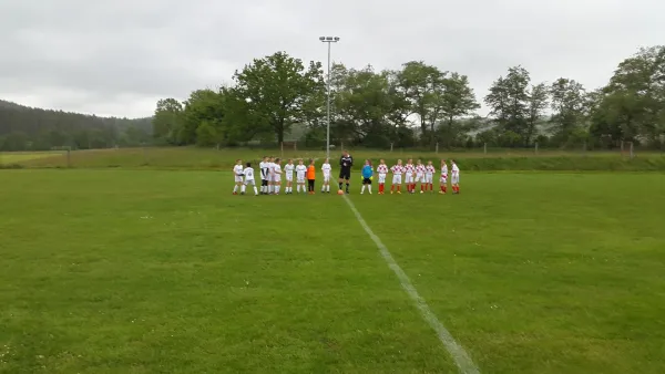 27.05.2019 Langenfelder SV 1919 vs. Wacker Bad Salzungen II