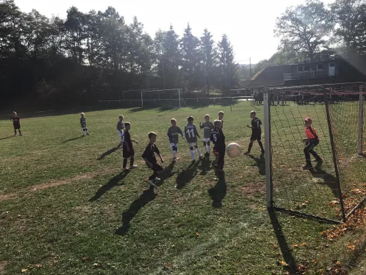 20.10.2018 SG Eltetal vs. Wacker Bad Salzungen