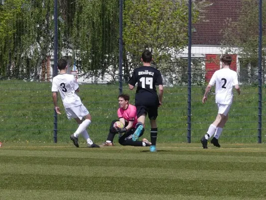 06.05.2023 SG SV Wacker 04 vs. 1.FC Eichsfeld