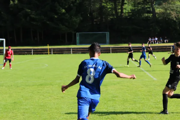 18.06.2026 SV Fambach II vs. Wacker Bad Salzungen II