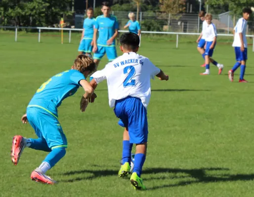 06.09.2026 SG FSV Eintracht Wechmar vs. Wacker Bad Salzungen II